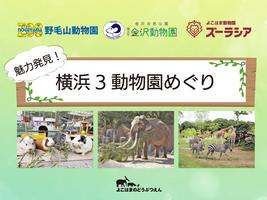 【7/15～8/6　参加者募集】「魅力発見！横浜3動物園めぐり」の画像