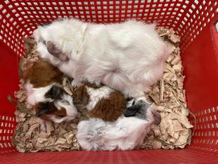 INからOUTの話へ