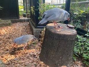 お誕生日おめでとう！