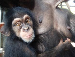 コハル（小春）の近況　＜生後5ヶ月～7ヶ月目編＞