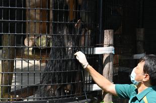 こつこつ、トレーニング頑張っています