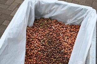 意外とありました!