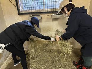 大人向け動物園飼育体験参加者の募集