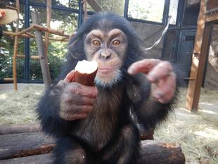 コハル1歳になりました！