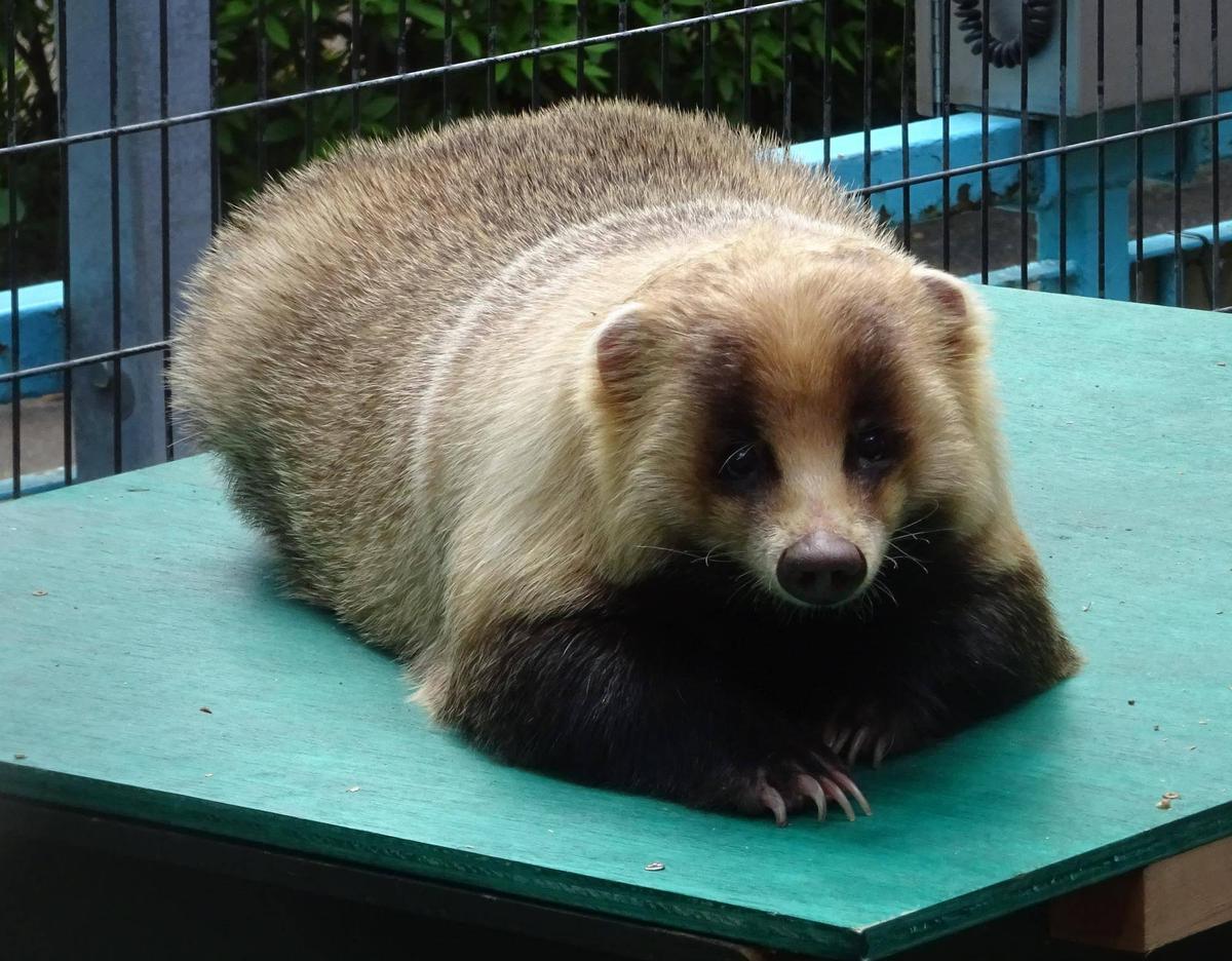 6d590dd9cbba1b1ac2b91cc487468b