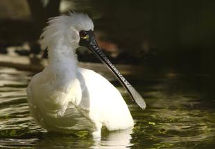 担当動物に会いにいこう① (IN九州)
