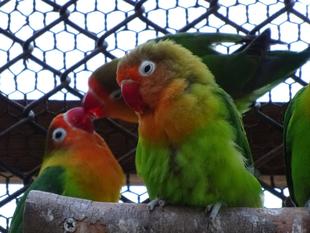 大事なのは中身です！