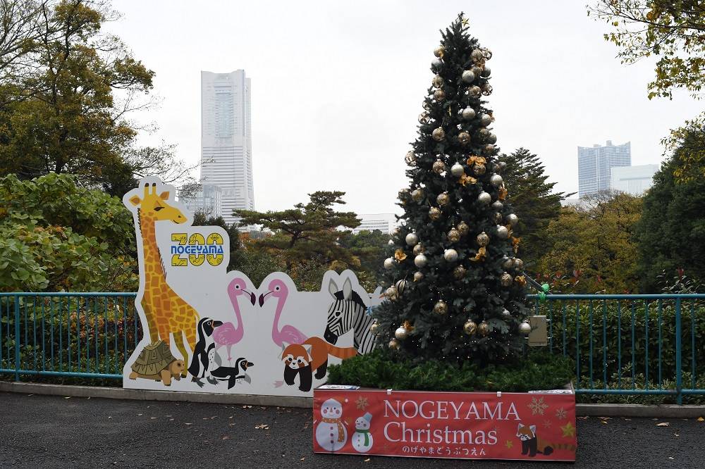 のげやまクリスマス2023の写真