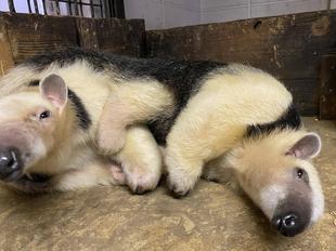 ムムの一日【午前中編】