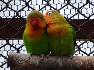 圧倒的クリスマス