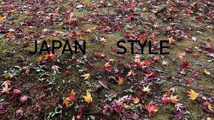 【紅葉の野毛山　続編　もう一つの楽しみ方をご紹介します】