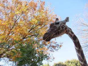 【あみあみ便り】「そら」の血圧測定トレーニング