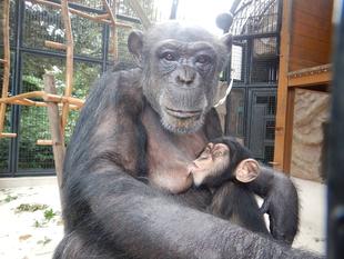 今年も一年ありがとうございました