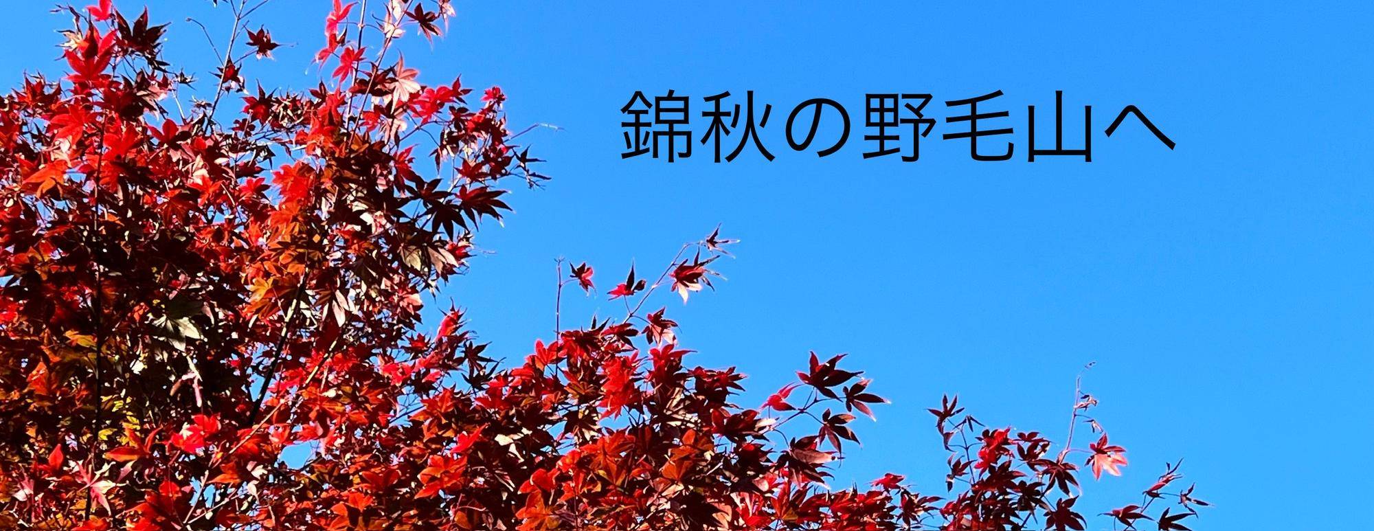 【紅葉の野毛山 見どころスポットをご紹介します】の写真