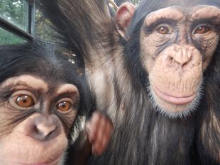 コウタロウの変化　～群れで暮らすことの大切さ～