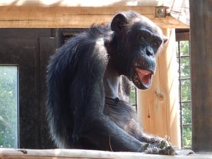 ピーコさん、本当にありがとう