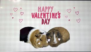 なかよし広場のバレンタイン特別お食事ガイド