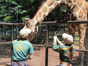 この動物はどこから？　その3