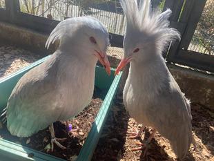 また会う日まで