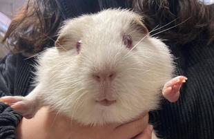 モルに渡す例のブツ　その2