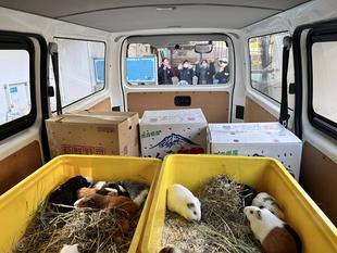 なかよし広場お引越し大作戦 ~その①~