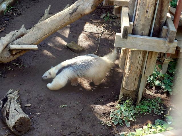 紹介したかったのは......の写真