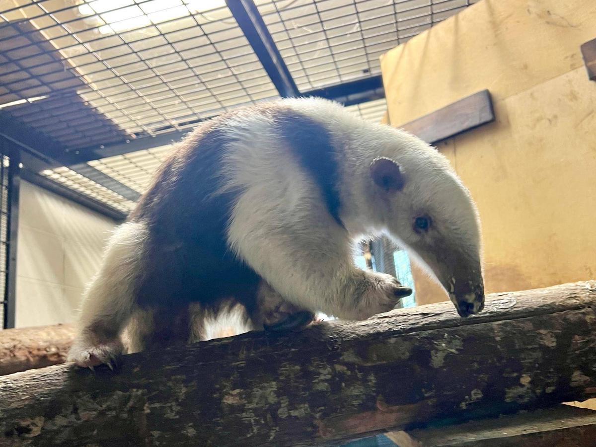 7225e05bde352b7c13ff63d806699c