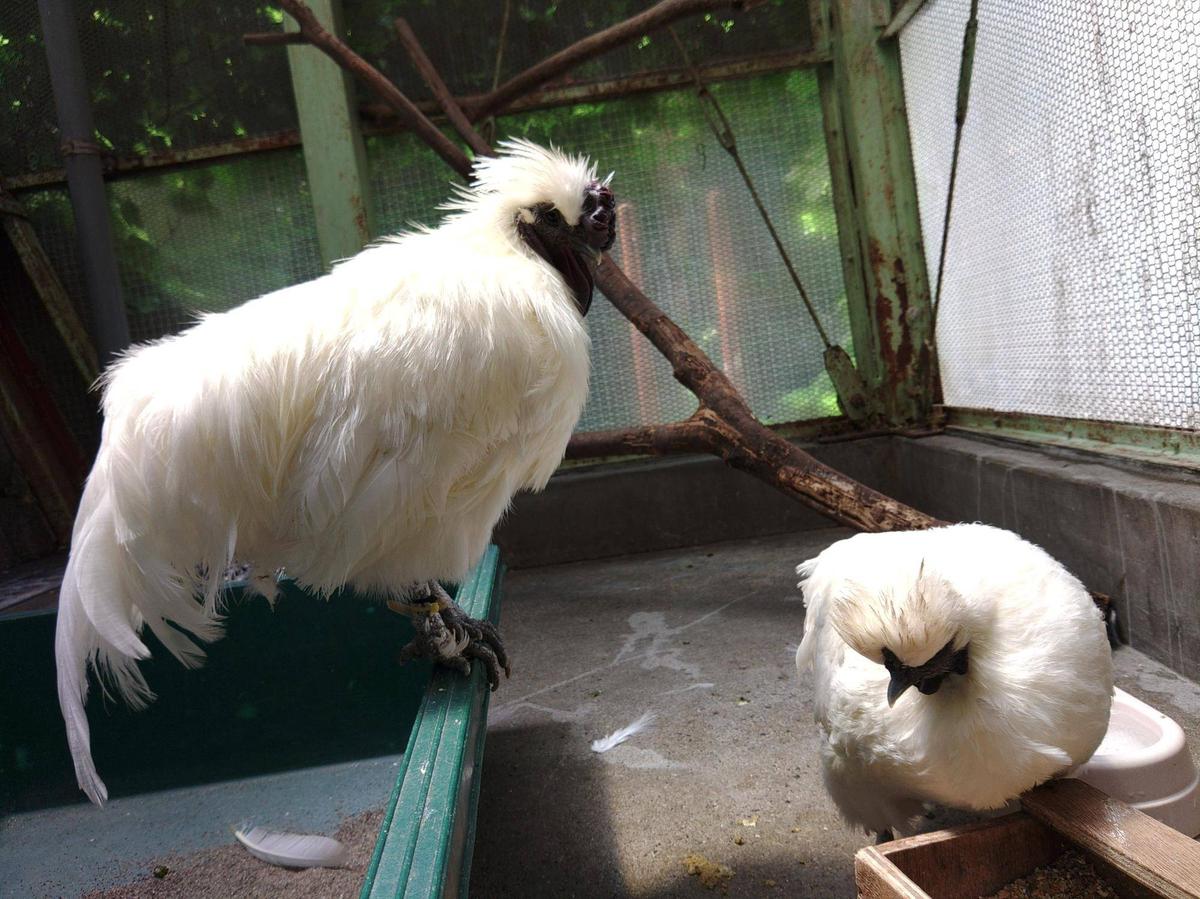 KIMG0323-thumb-1200xauto-