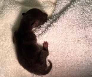 道端で、春めいて、気をつけて