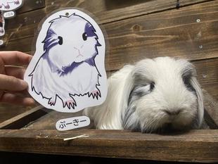 オシ活しませんか?