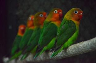 6月15日は何の日？