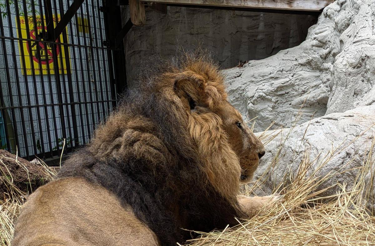 野毛山zooっといい話 飼育職員が語る動物たちのエピソード