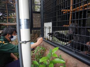 獣医さんと一緒にトレーニング！