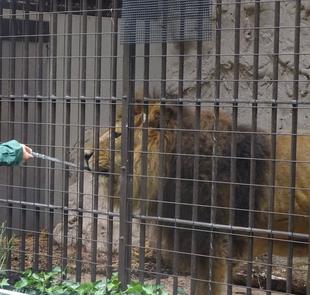 飼料班のおしごと③