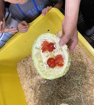 「動物園の台所ツアー」はじめました