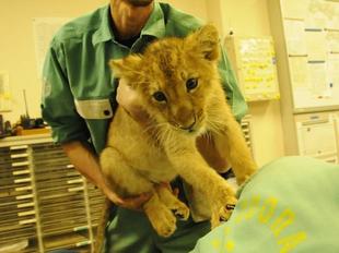 「ラージャーありがとう写真展」その1