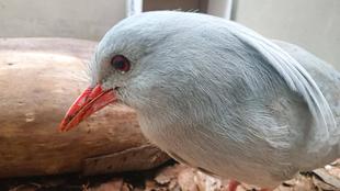 今日は何の日？