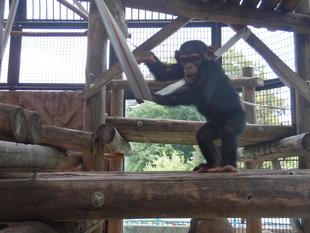 プチ・リフォーム進行中！