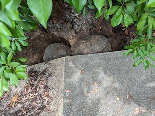 海の家みたいだね