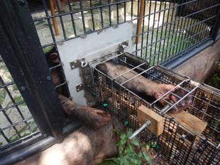 採血への道　Part2