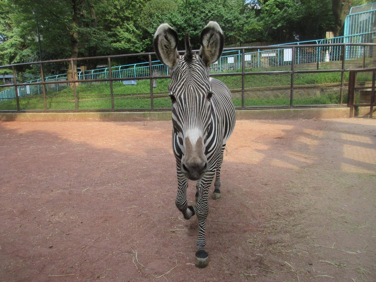 ab09abcb313576902f1de58f5b48e3