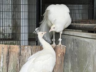 野毛一番の仲良しカップル！？