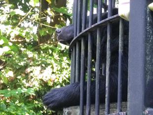 どんぐりひろい隊　2024