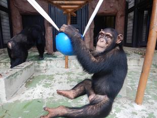 コウタロウ８歳になりました！