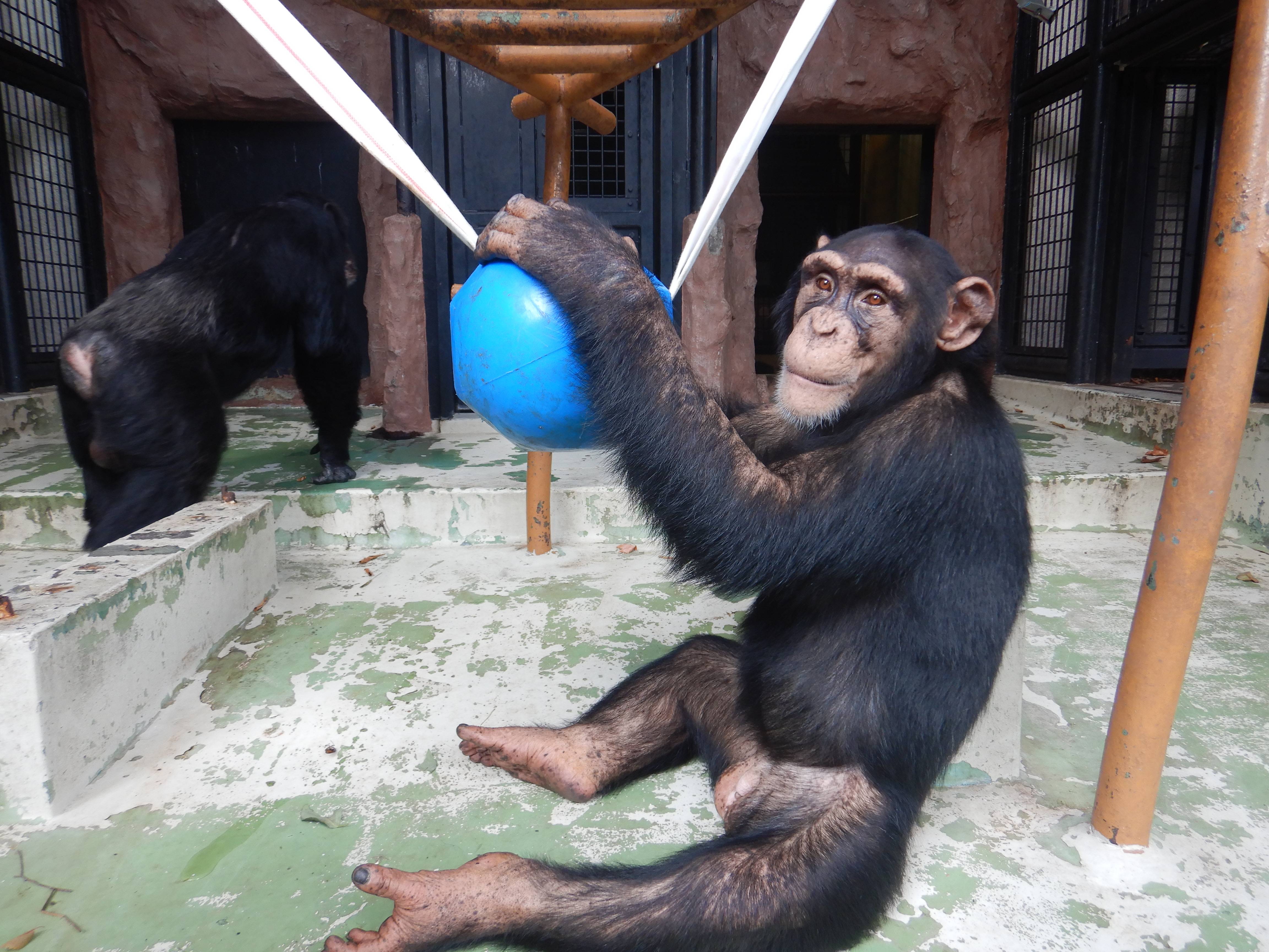 コウタロウ8歳になりました!の写真