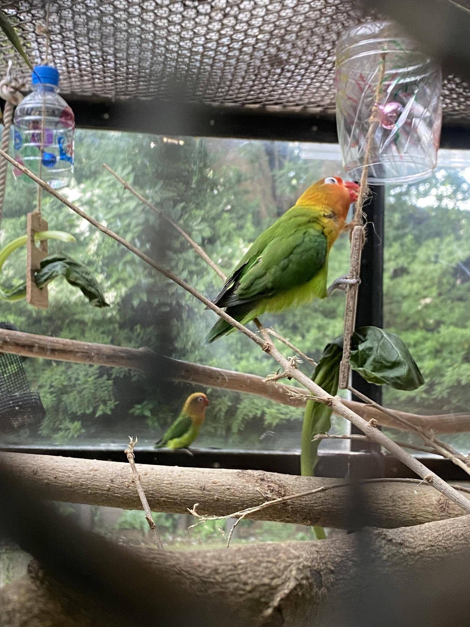 夏も終わり秋に...の写真