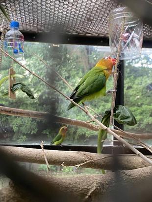 夏も終わり秋に...