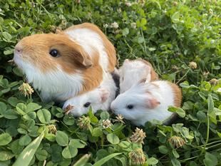 オンラインイベント開催、アーカイブで見られます！