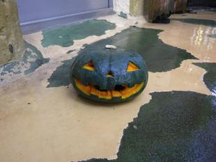 でんぐりがえして、バイバイバイ