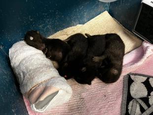 運よく、首尾よく、夏らしく